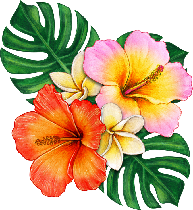 watercolor tropical flower composition